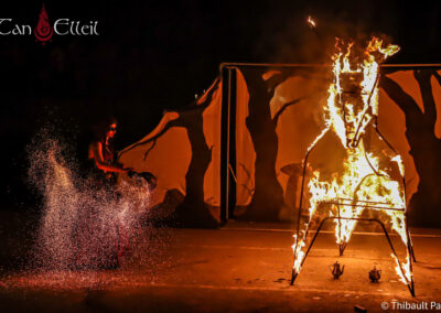 Flammes Ephémères spectacle de feu pyrotechnie féerique pagan médiéval