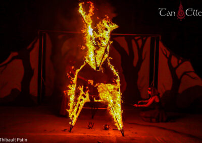 Flammes Ephémères spectacle de feu pyrotechnie féerique pagan médiéval