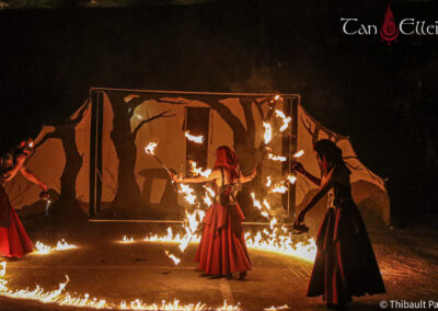 Flammes Ephémères spectacle de feu pyrotechnie féerique pagan mediéval