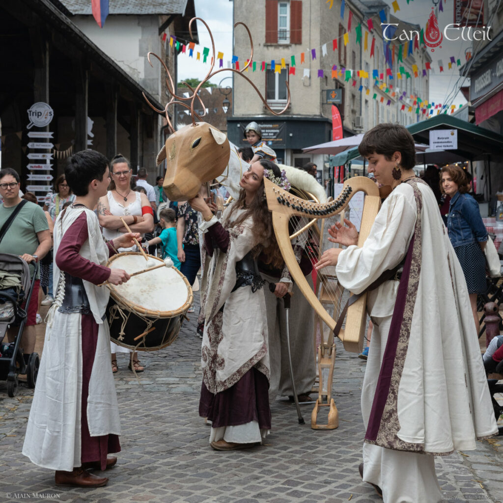 Les musiciens de la déambulation musicale fantastique