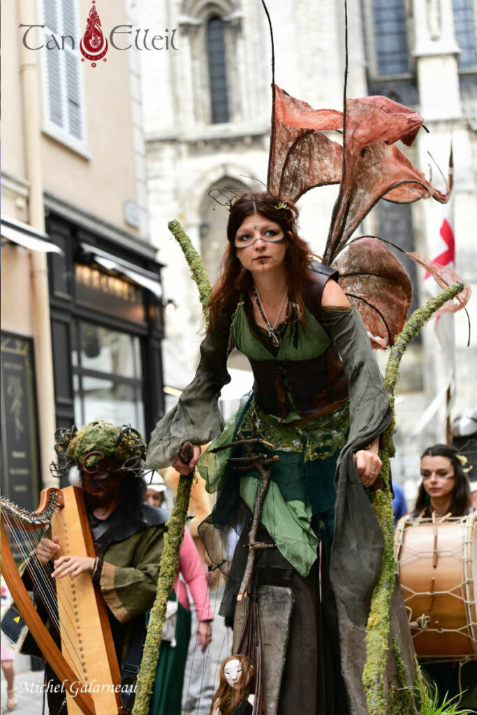 tan-elleil-contes-du-bois-den-haut-deambulation-musicale-bretagne-marionnette-echasses15.jpg L'échassier de la déambulation musicale bretonne avec marionnette