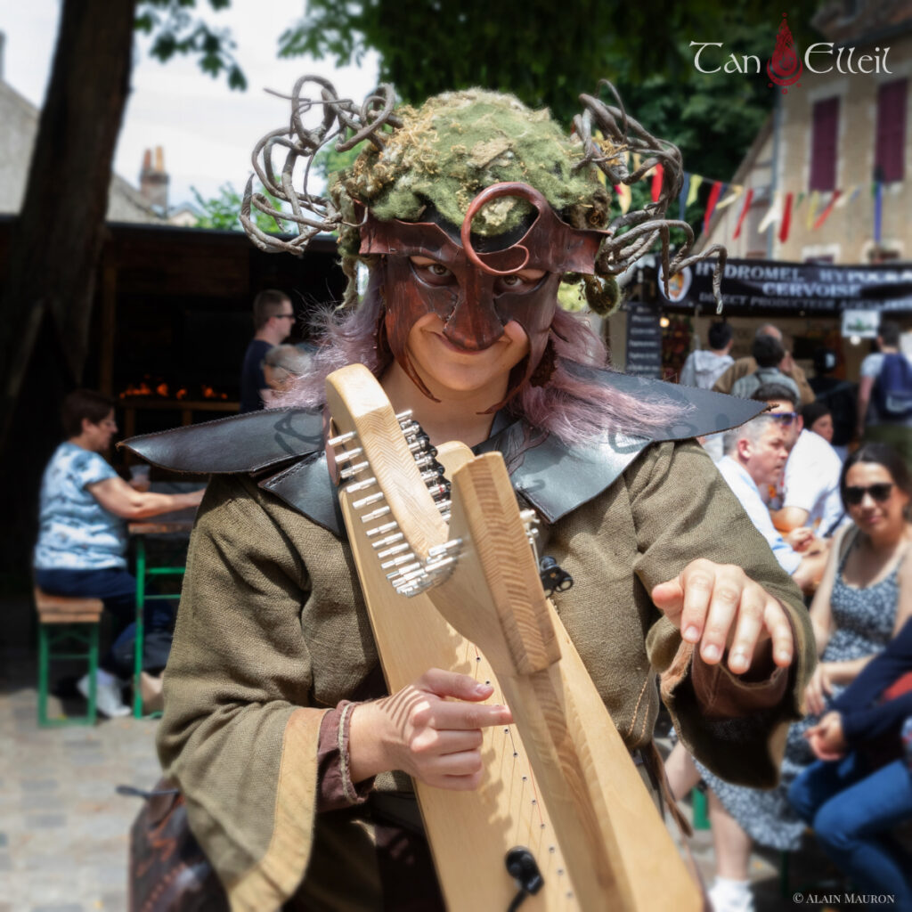tan-elleil-contes-du-bois-den-haut-deambulation-musicale-bretagne-marionnette-echasses5 Harpe de la déambulation musicale bretonne avec échassier et marionnette