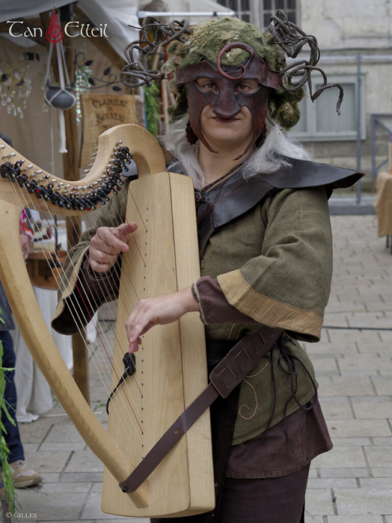 tan-elleil-contes-du-bois-den-haut-deambulation-musicale-bretagne-marionnette-echasses7.jpg La harpiste de la déambulation musicale bretonne avec échassier et marionnette