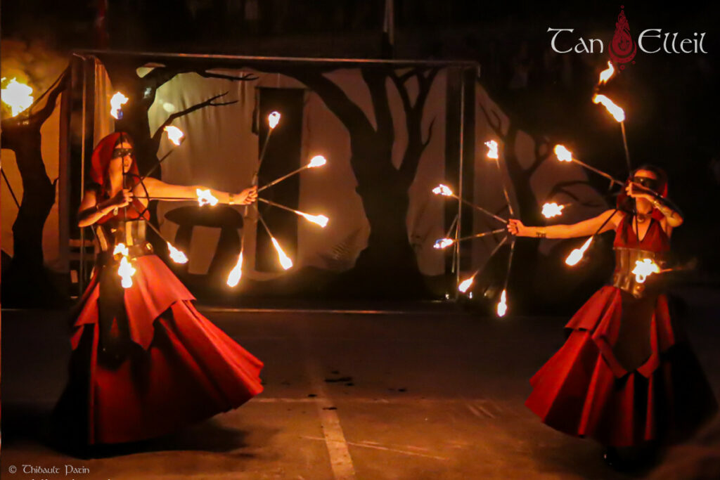 Danse enflammée du spectacle de feu médiéval fantastique