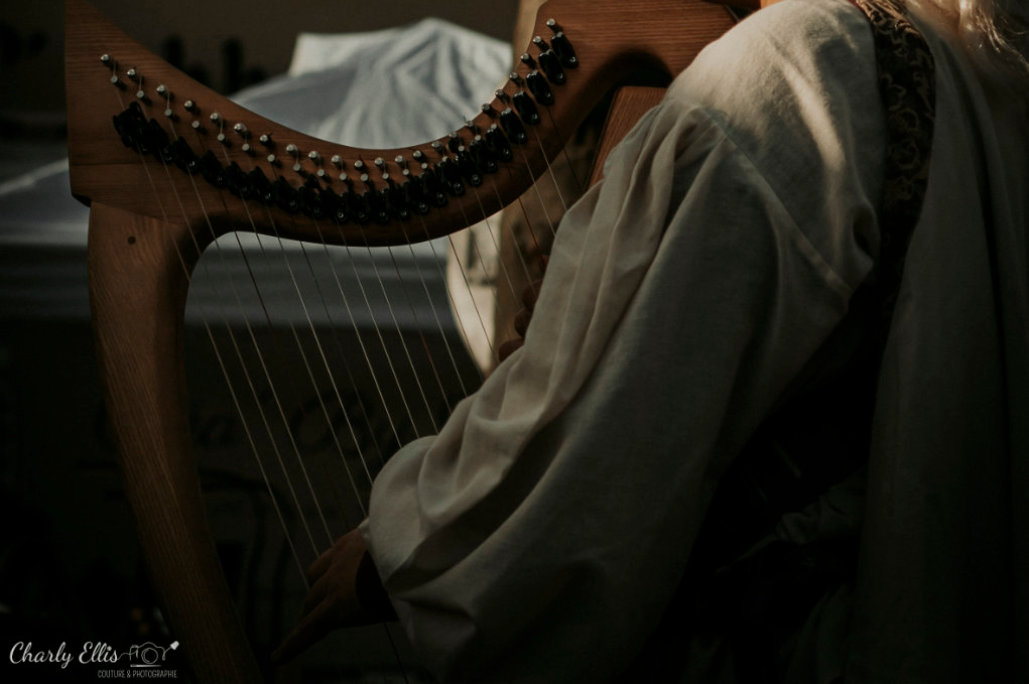 tan-elleil-musique2 harpe